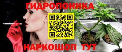герыч Донецк