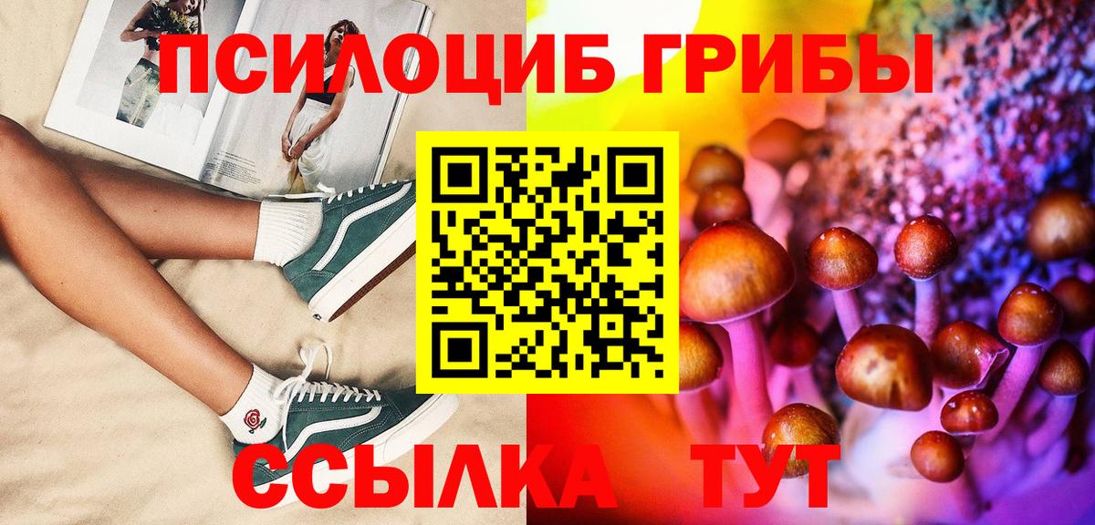 Псилоцибиновые грибы ЛСД Балтийск